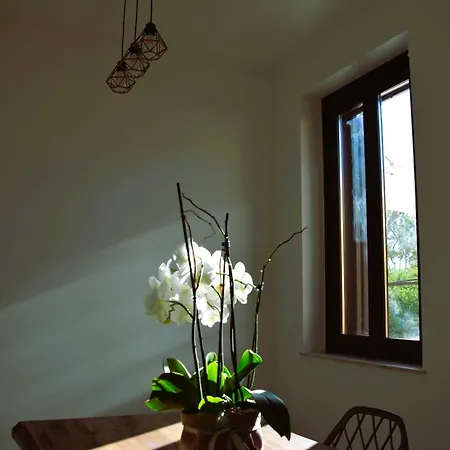 La Casa Nel Tempio Apartment Agrigento